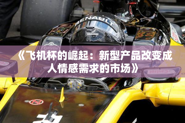 《飞机杯的崛起：新型产品改变成人情感需求的市场》