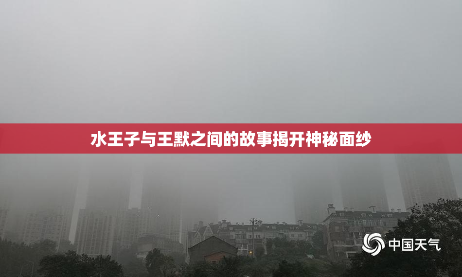 水王子与王默之间的故事揭开神秘面纱