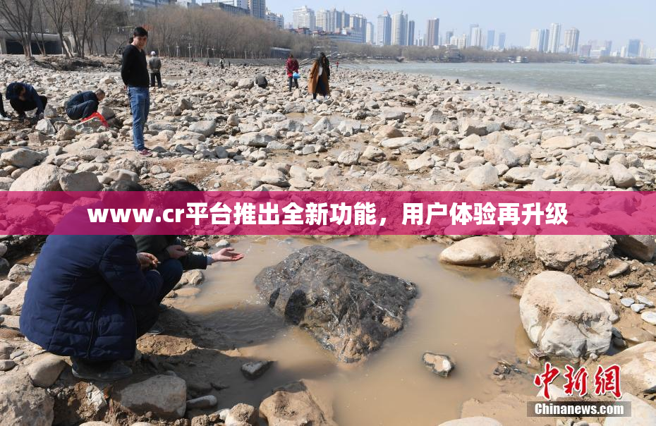 www.cr平台推出全新功能，用户体验再升级