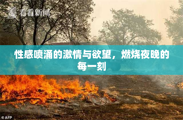 性感喷涌的激情与欲望，燃烧夜晚的每一刻