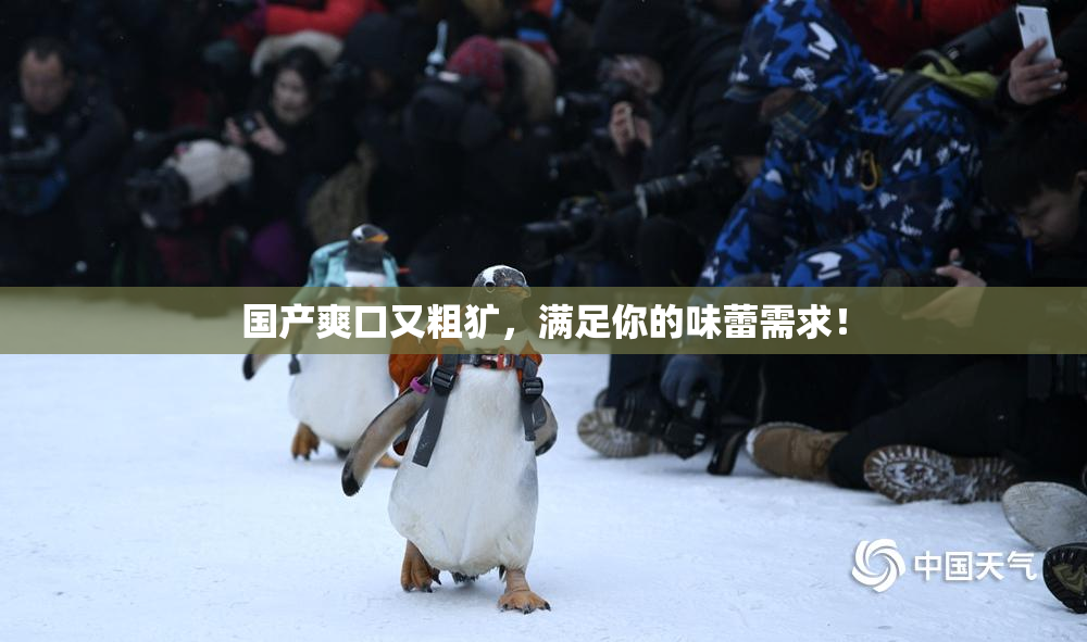 国产爽口又粗犷，满足你的味蕾需求！