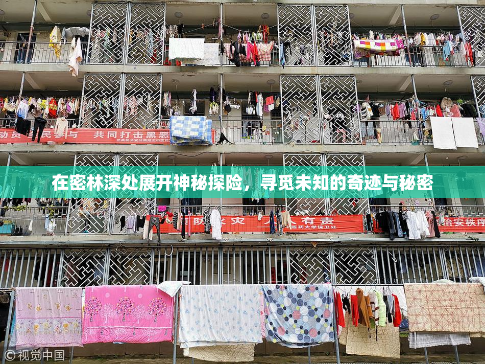 在密林深处展开神秘探险，寻觅未知的奇迹与秘密
