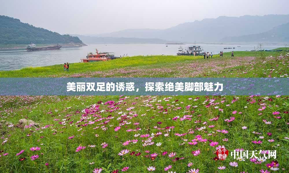 美丽双足的诱惑，探索绝美脚部魅力