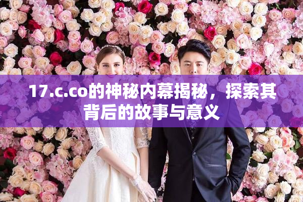 17.c.co的神秘内幕揭秘，探索其背后的故事与意义