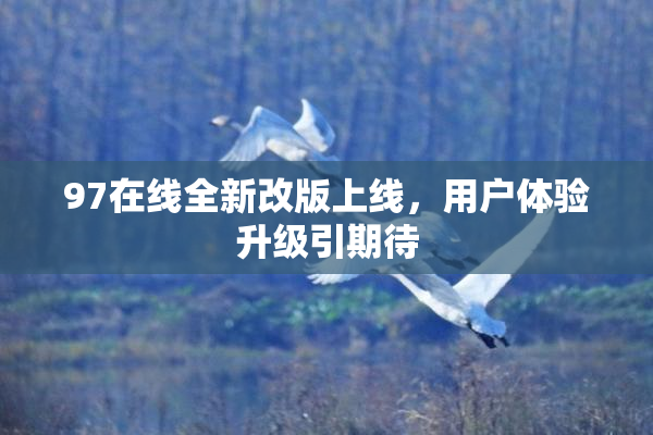 97在线全新改版上线，用户体验升级引期待