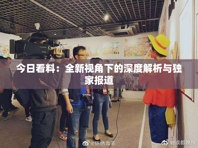 今日看料：全新视角下的深度解析与独家报道