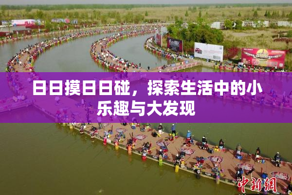 日日摸日日碰，探索生活中的小乐趣与大发现