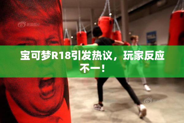 宝可梦R18引发热议，玩家反应不一！