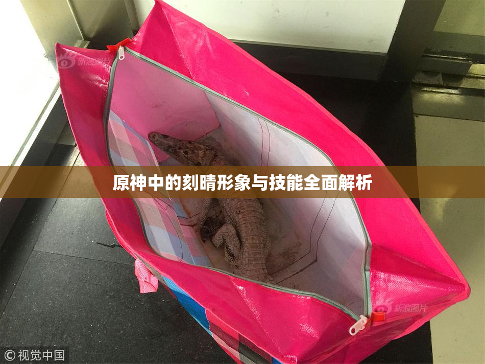 原神中的刻晴形象与技能全面解析