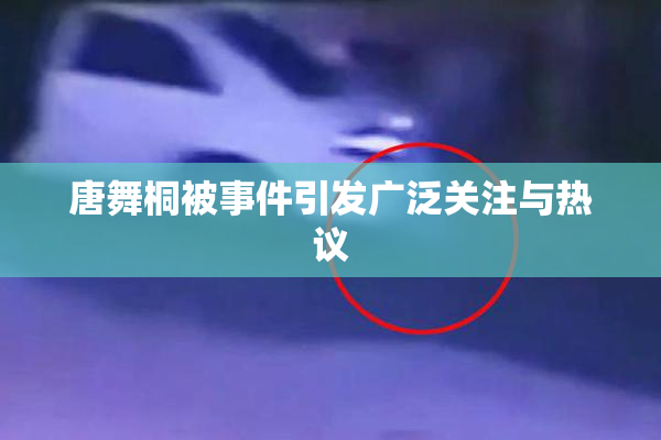 唐舞桐被事件引发广泛关注与热议