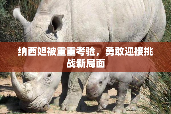 纳西妲被重重考验，勇敢迎接挑战新局面