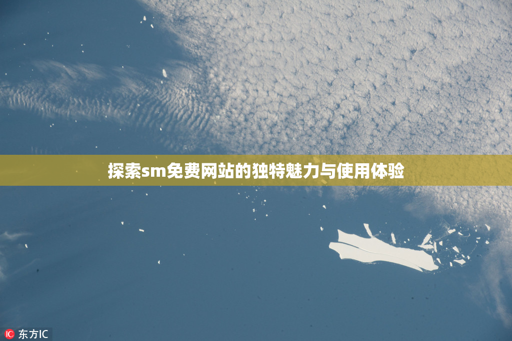 探索sm免费网站的独特魅力与使用体验