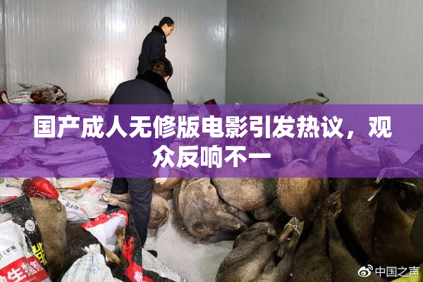 国产成人无修版电影引发热议，观众反响不一