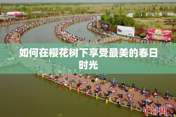如何在樱花树下享受最美的春日时光