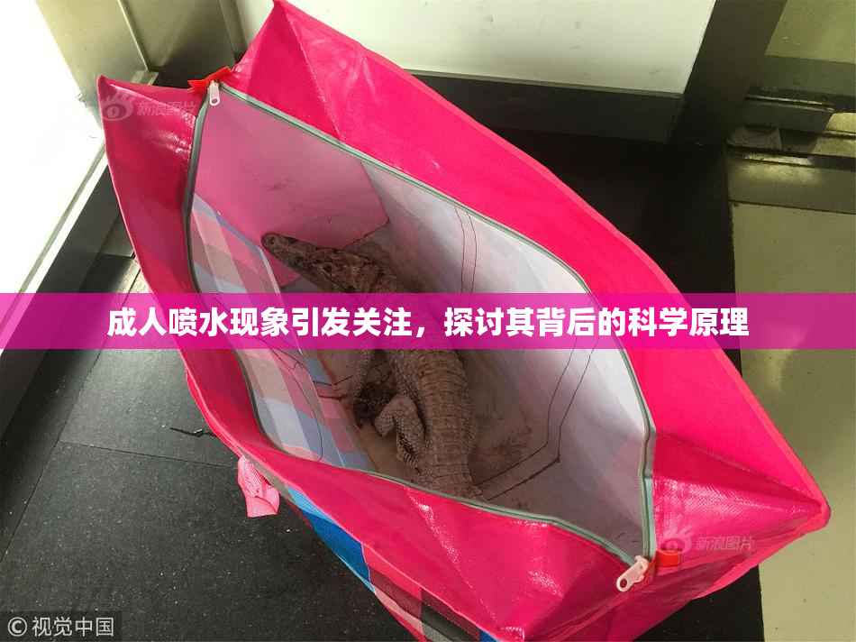 成人喷水现象引发关注，探讨其背后的科学原理