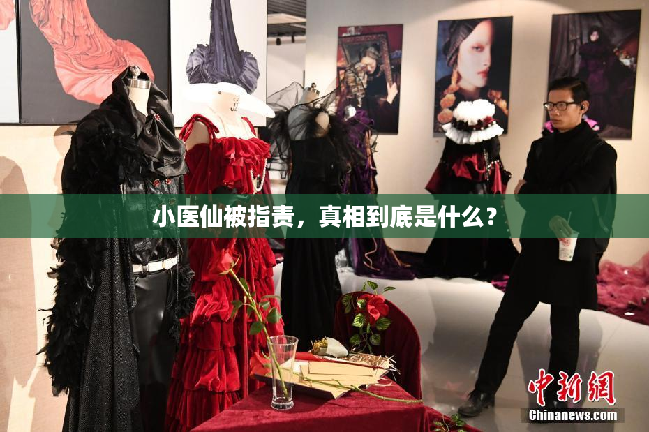 小医仙被指责，真相到底是什么？