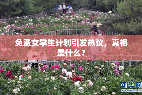 免费女学生计划引发热议，真相是什么？