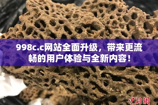 998c.c网站全面升级，带来更流畅的用户体验与全新内容！