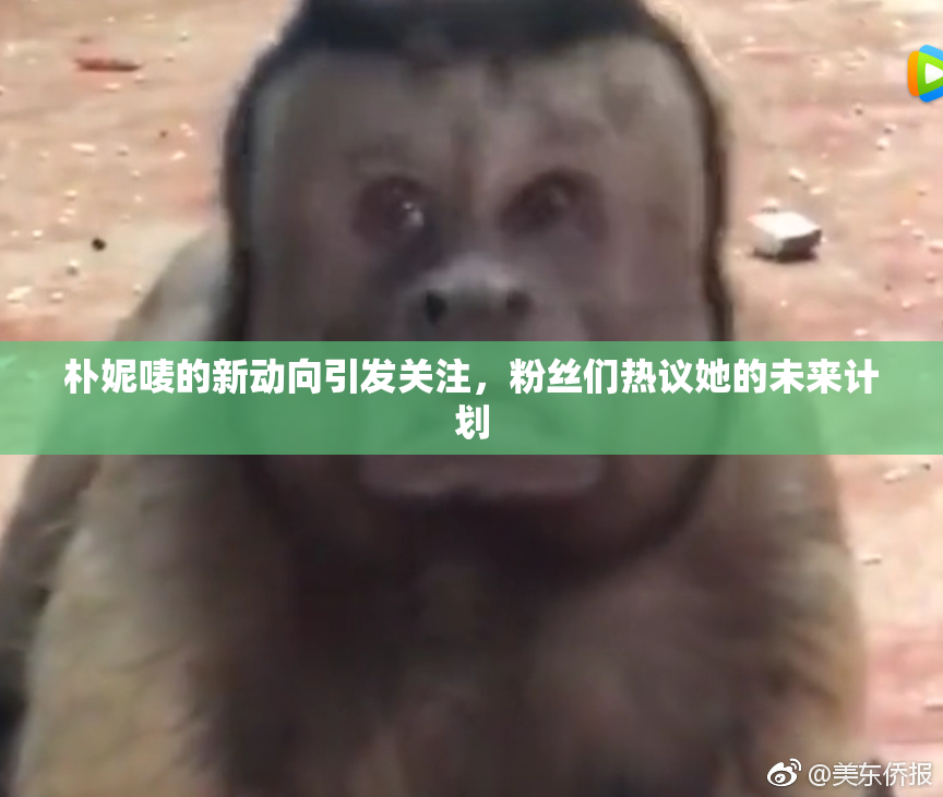 朴妮唛的新动向引发关注，粉丝们热议她的未来计划