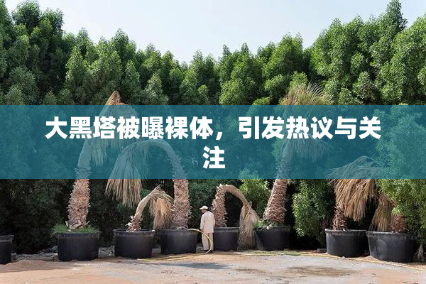 大黑塔被曝裸体，引发热议与关注