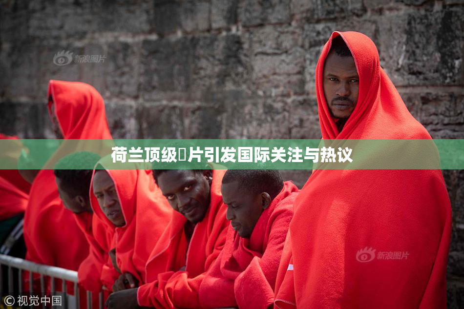 荷兰顶级婬片引发国际关注与热议