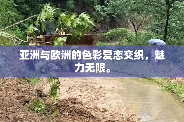 亚洲与欧洲的色彩爱恋交织，魅力无限。