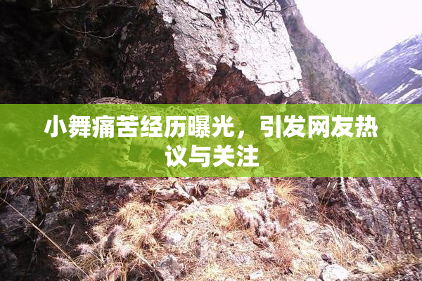 小舞痛苦经历曝光，引发网友热议与关注