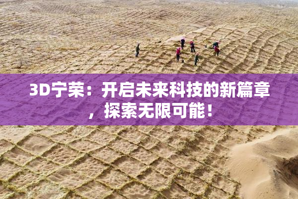 3D宁荣：开启未来科技的新篇章，探索无限可能！