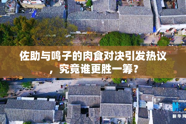 佐助与鸣子的肉食对决引发热议，究竟谁更胜一筹？