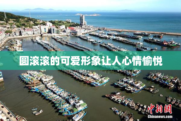 圆滚滚的可爱形象让人心情愉悦
