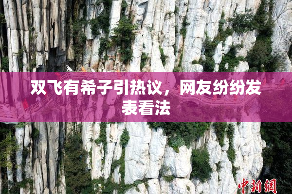 双飞有希子引热议，网友纷纷发表看法