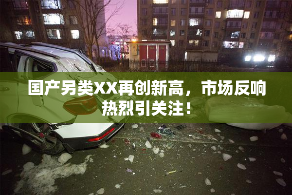 国产另类XX再创新高，市场反响热烈引关注！