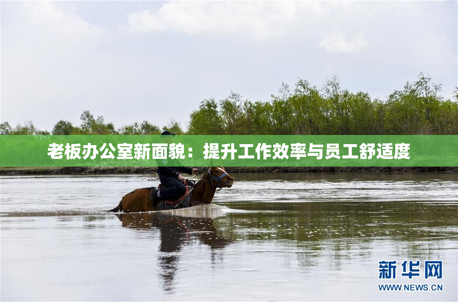 老板办公室新面貌：提升工作效率与员工舒适度