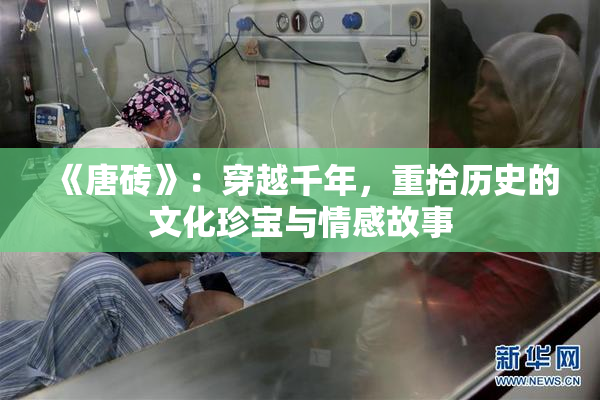《唐砖》：穿越千年，重拾历史的文化珍宝与情感故事