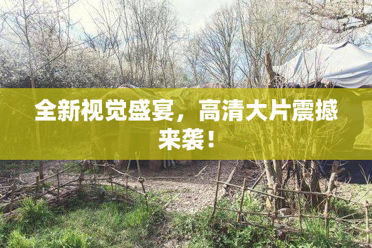全新视觉盛宴，高清大片震撼来袭！