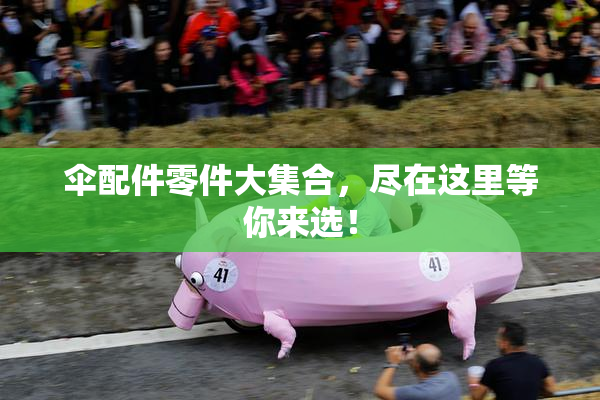 伞配件零件大集合，尽在这里等你来选！