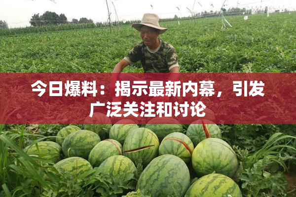 今日爆料：揭示最新内幕，引发广泛关注和讨论