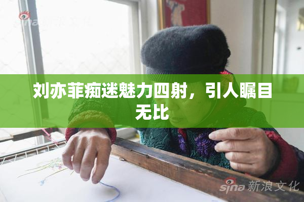 刘亦菲痴迷魅力四射，引人瞩目无比
