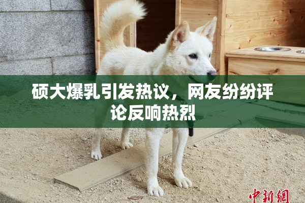硕大爆乳引发热议，网友纷纷评论反响热烈