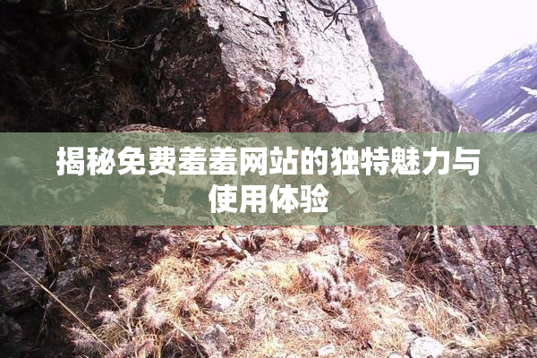 揭秘免费羞羞网站的独特魅力与使用体验