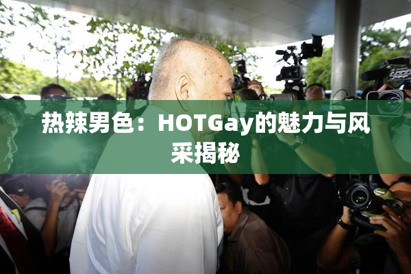 热辣男色：HOTGay的魅力与风采揭秘