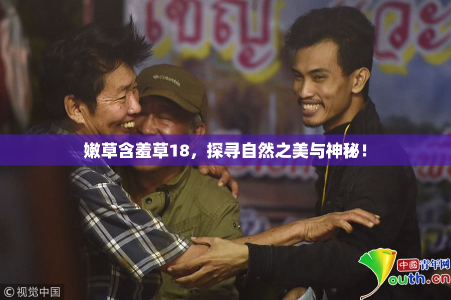嫩草含羞草18，探寻自然之美与神秘！