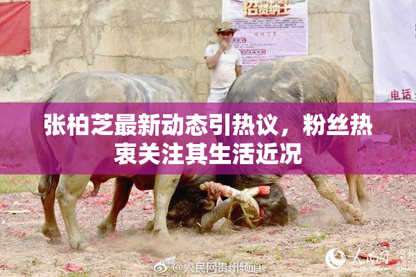张柏芝最新动态引热议，粉丝热衷关注其生活近况