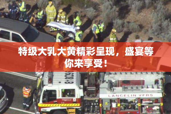 特级大乳大黄精彩呈现，盛宴等你来享受！