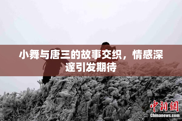 小舞与唐三的故事交织，情感深邃引发期待