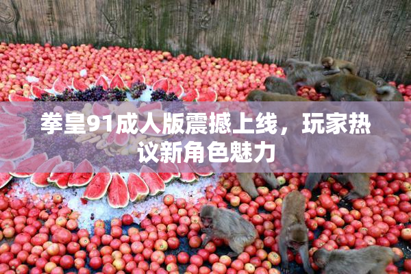 拳皇91成人版震撼上线，玩家热议新角色魅力