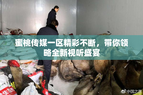 蜜桃传媒一区精彩不断，带你领略全新视听盛宴