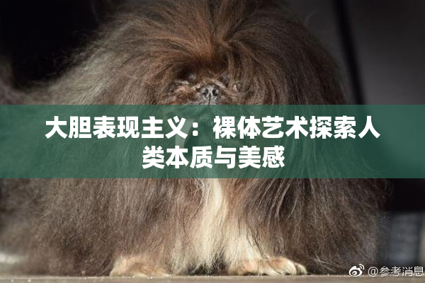 大胆表现主义：裸体艺术探索人类本质与美感