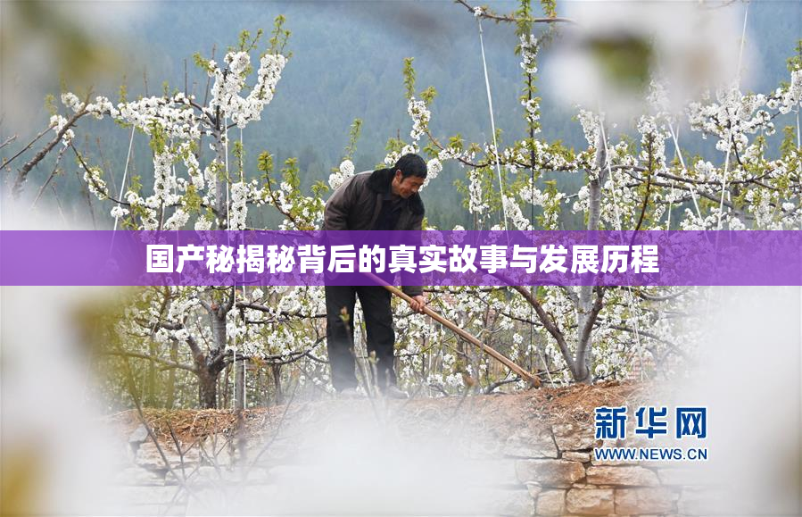 国产秘揭秘背后的真实故事与发展历程