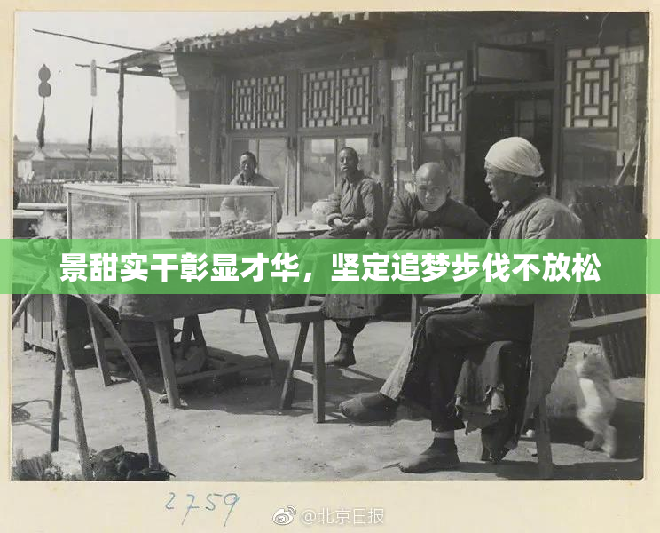 景甜实干彰显才华，坚定追梦步伐不放松